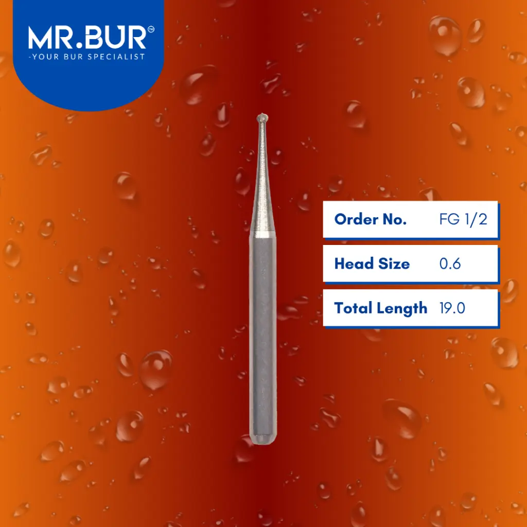 Carbide-Round-Carbide-19mm-FG 1_2.webp